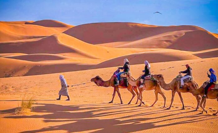 12 days in Morocco from Tangier 12-day Morocco tour from Tangier, This Grand Morocco trip will immerse you in an exotic world.