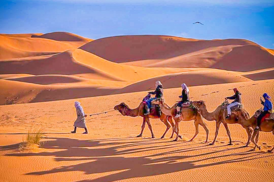 12 days in Morocco from Tangier 12-day Morocco tour from Tangier, This Grand Morocco trip will immerse you in an exotic world.