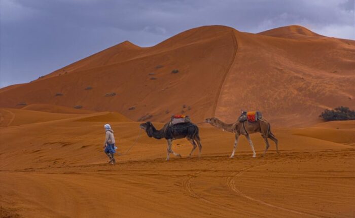 3 Day Desert tour Fes to Marrakech, Fes to Marrakech Desert Tour 3 Days, Morocco tour itinerary 3 Days from Fes to Marrakech, Moroco trip.