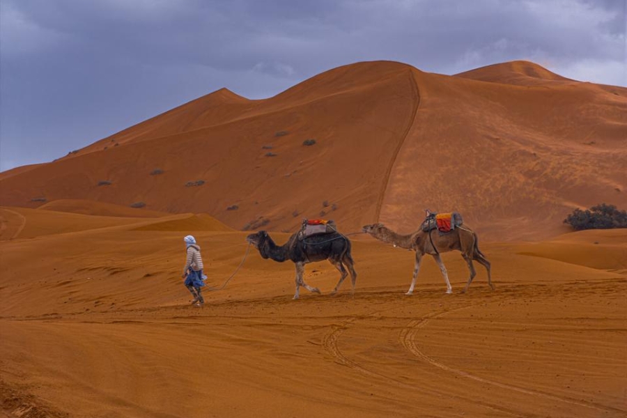 3 Day Desert tour Fes to Marrakech, Fes to Marrakech Desert Tour 3 Days, Morocco tour itinerary 3 Days from Fes to Marrakech, Moroco trip.