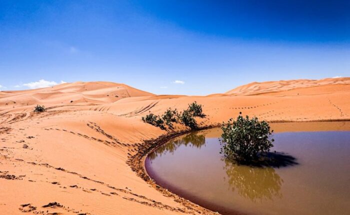 4 Days tour from Fes to Marrakech, Fes to Marrakech Desert tour, 4 Days Morocco Desert tour from Fes to Marrakech via Sahara Desert.