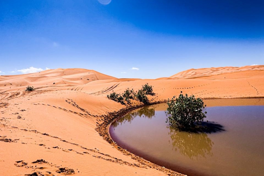 4 Days tour from Fes to Marrakech, Fes to Marrakech Desert tour, 4 Days Morocco Desert tour from Fes to Marrakech via Sahara Desert.