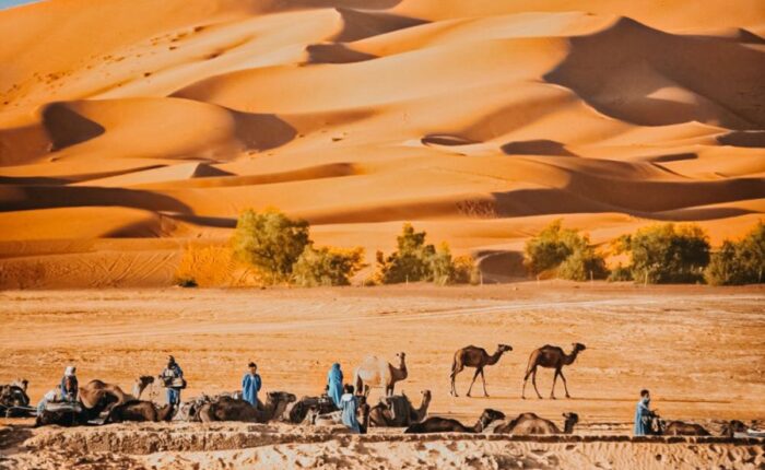 5 Days Morocco itinerary, Morocco Desert tour, tour of 5 days in Morocco, Holidays tour in Morocco, Sahara Desert, Fes, Rabat, Marrakech.