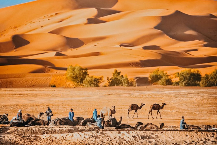 5 Days Morocco itinerary, Morocco Desert tour, tour of 5 days in Morocco, Holidays tour in Morocco, Sahara Desert, Fes, Rabat, Marrakech.