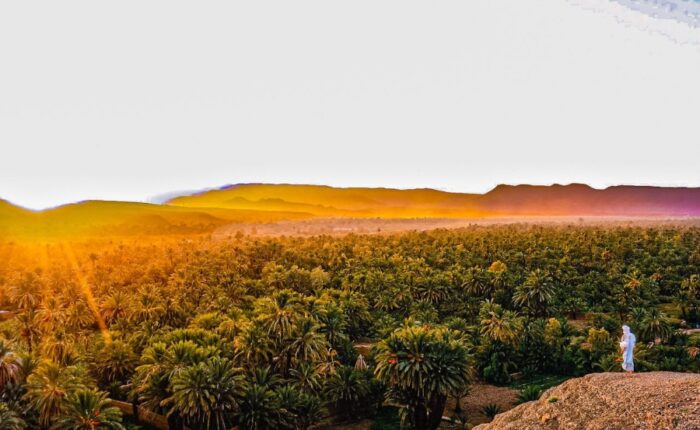 5 Days tour from Marrakech to Fes, Marrakech to Fes Desert tour 5 days, Best Marrakech Desert Trips, Private Morocco itinerary.