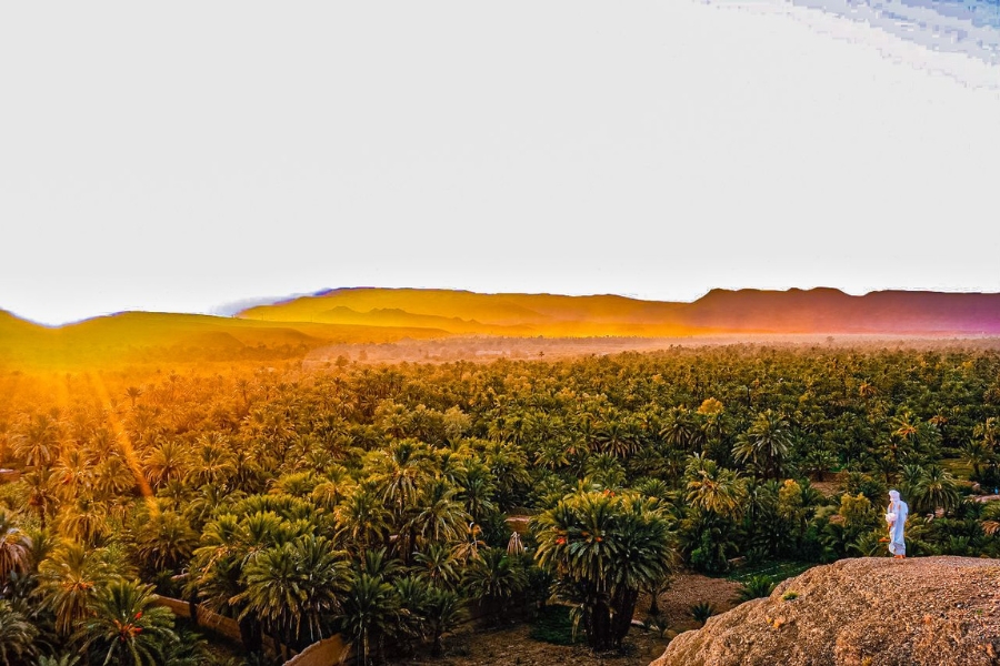 5 Days tour from Marrakech to Fes, Marrakech to Fes Desert tour 5 days, Best Marrakech Desert Trips, Private Morocco itinerary.