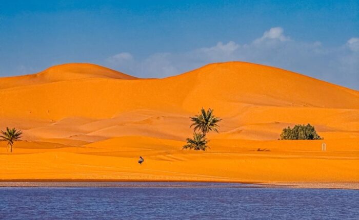 3 Days tour from Ouarzazate to Fes, Ouarzazate to Fes Desert Tour 3 days, Best Merzouga Tours, Ouarzazate Desert Trips, Fes Tours.