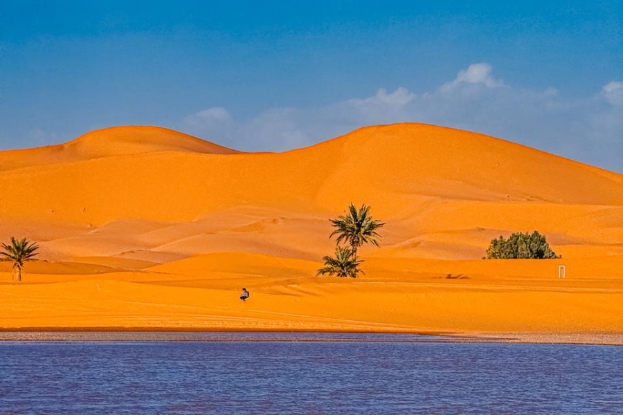 3 Days tour from Ouarzazate to Fes, Ouarzazate to Fes Desert Tour 3 days, Best Merzouga Tours, Ouarzazate Desert Trips, Fes Tours.