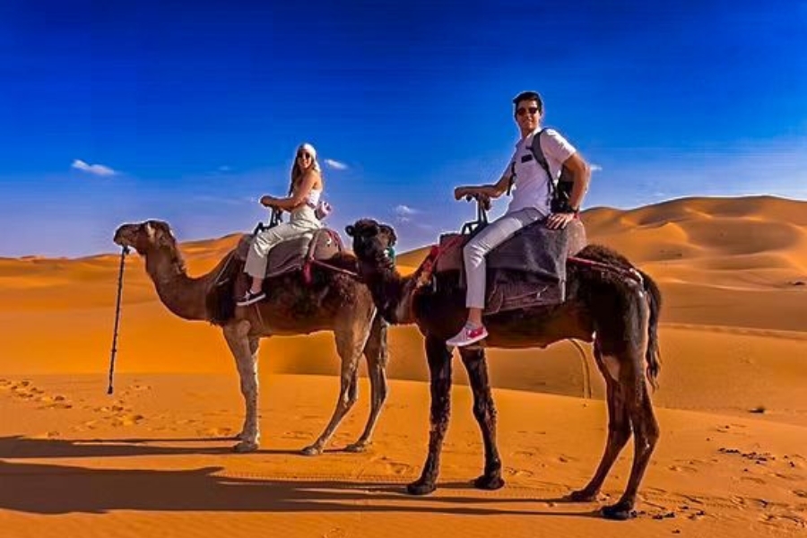 4 Day Errachidia to Marrakech Tour, 4 Day Desert tour from Errachidia to Marrakech, Errachidia to Marrakech Desert tours, Best trips.
